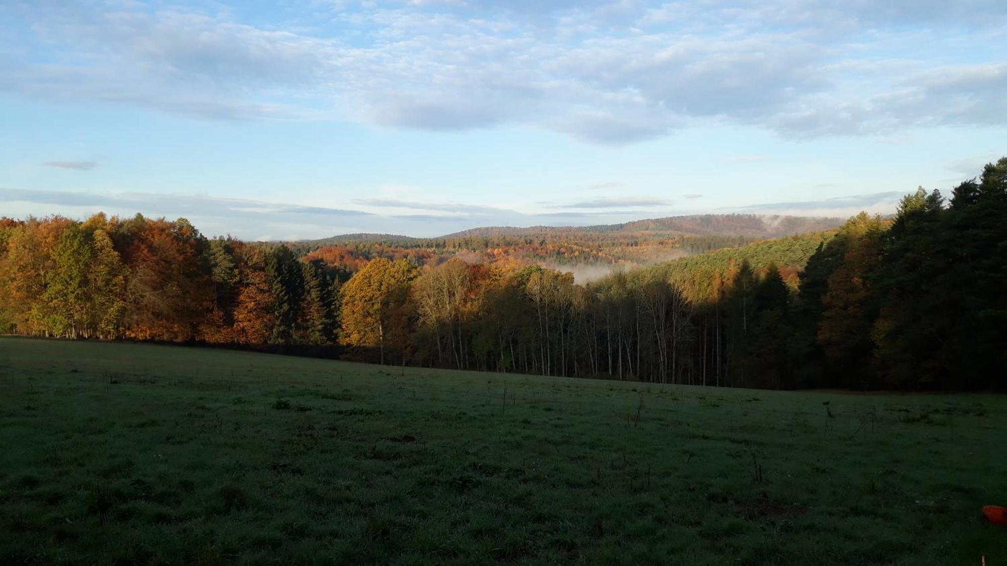 Ellernhof Im Spessart Stadtprozelten Exterior foto